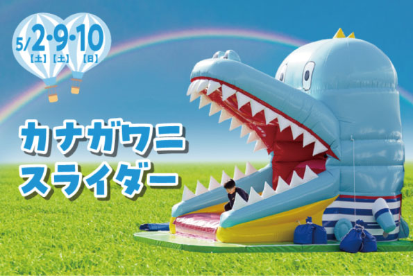 カナガワニスライダーの画像