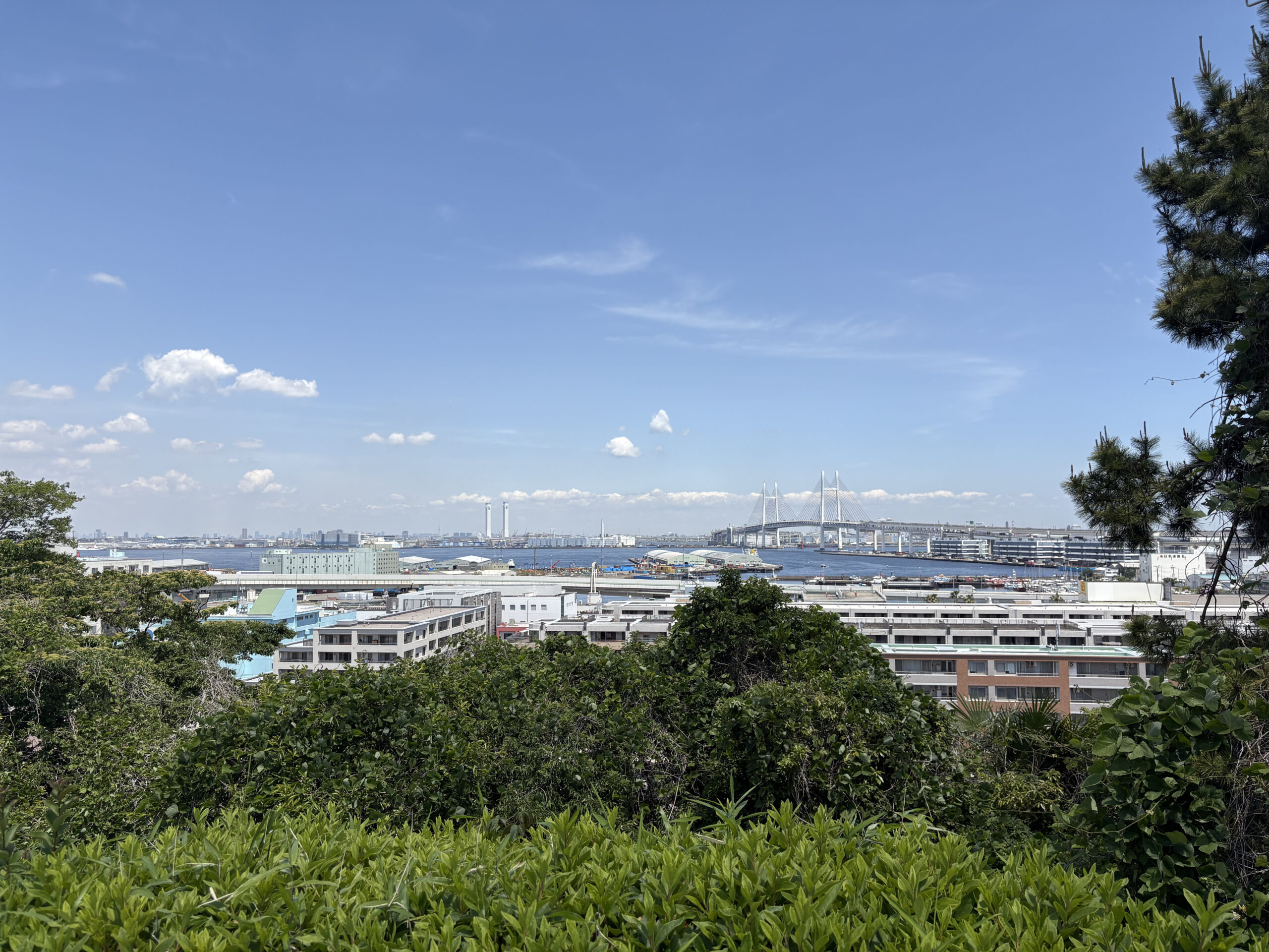 横浜のバラが主役になる季節。写真映えさんぽへ。の画像8