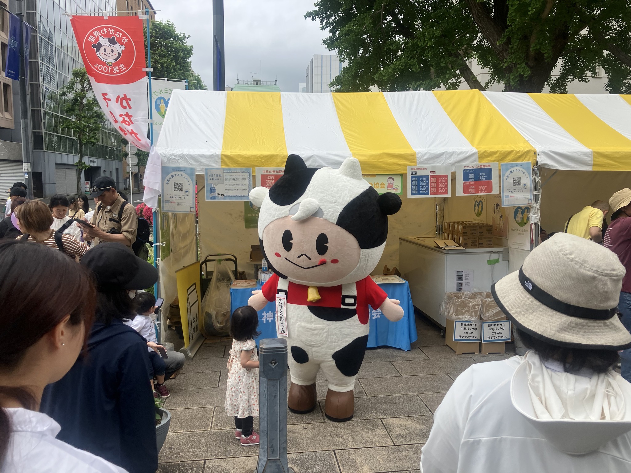 6月1日は牛乳の日。ｔｖｋかながわＭＩＲＡＩストリートで一足早くミルクに出会う週末の画像1
