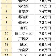 yachin1