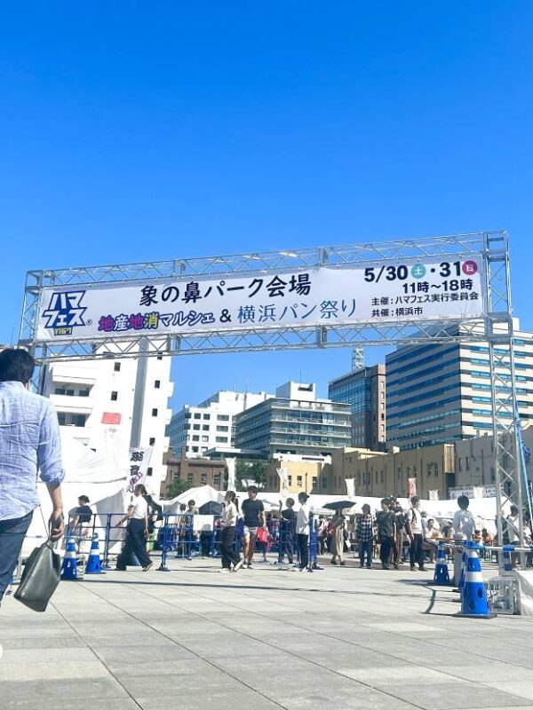 6月に最も"👍いいJAN!"を集めた記事は?人気ランキングTOP5