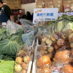hamafes_fmyokohama005