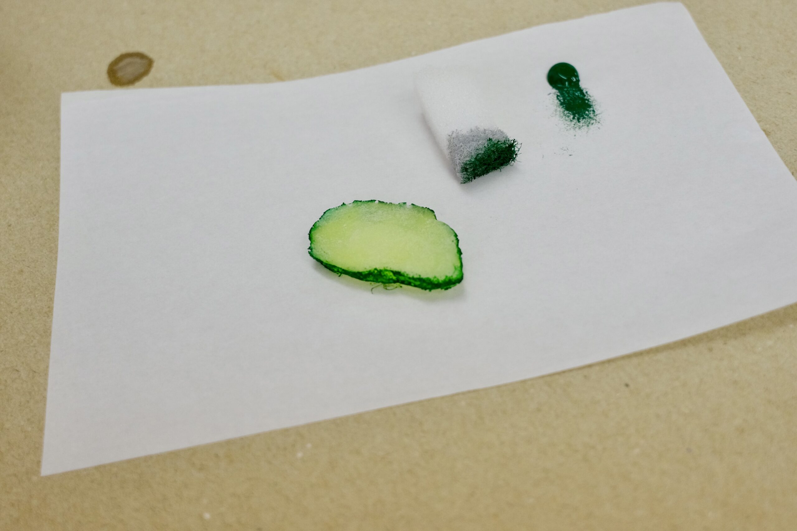 やってみるを楽しむ——食品さんぷる畑さんで軍艦寿司マグネット作り体験の画像13