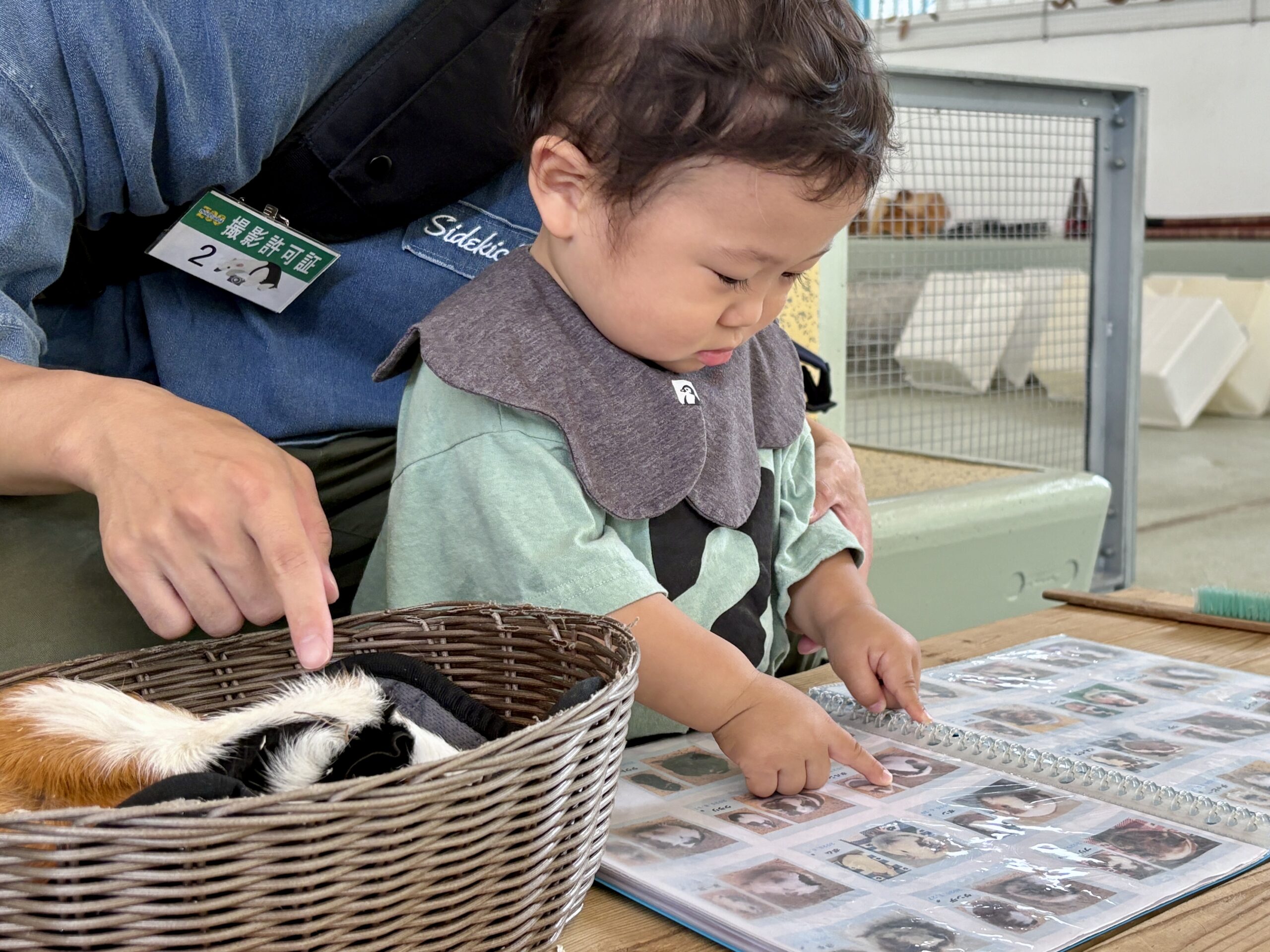 休園前の今こそ、親子で“無料の”野毛山動物園への画像2