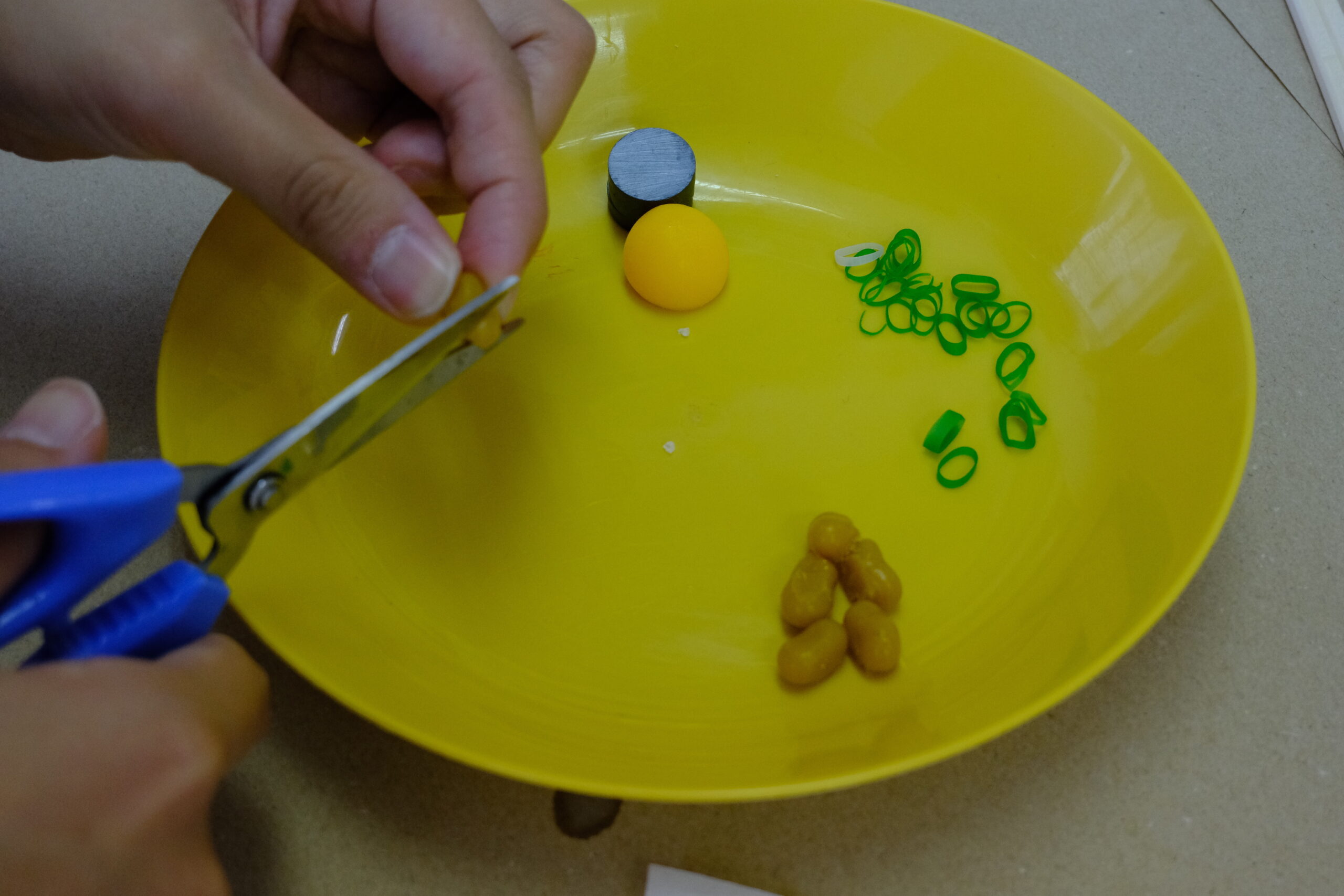 やってみるを楽しむ——食品さんぷる畑さんで軍艦寿司マグネット作り体験の画像14