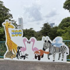 休園前の今こそ、親子で“無料の”野毛山動物園へ。“今だけの野毛山”で思い出づくりを。