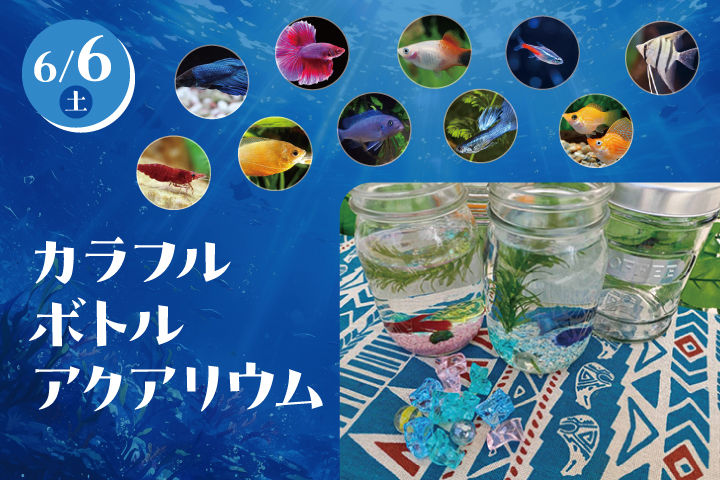 tvkプラザ横浜は梅雨時の週末だって楽しめる！ ６月のイベントまとめの画像4