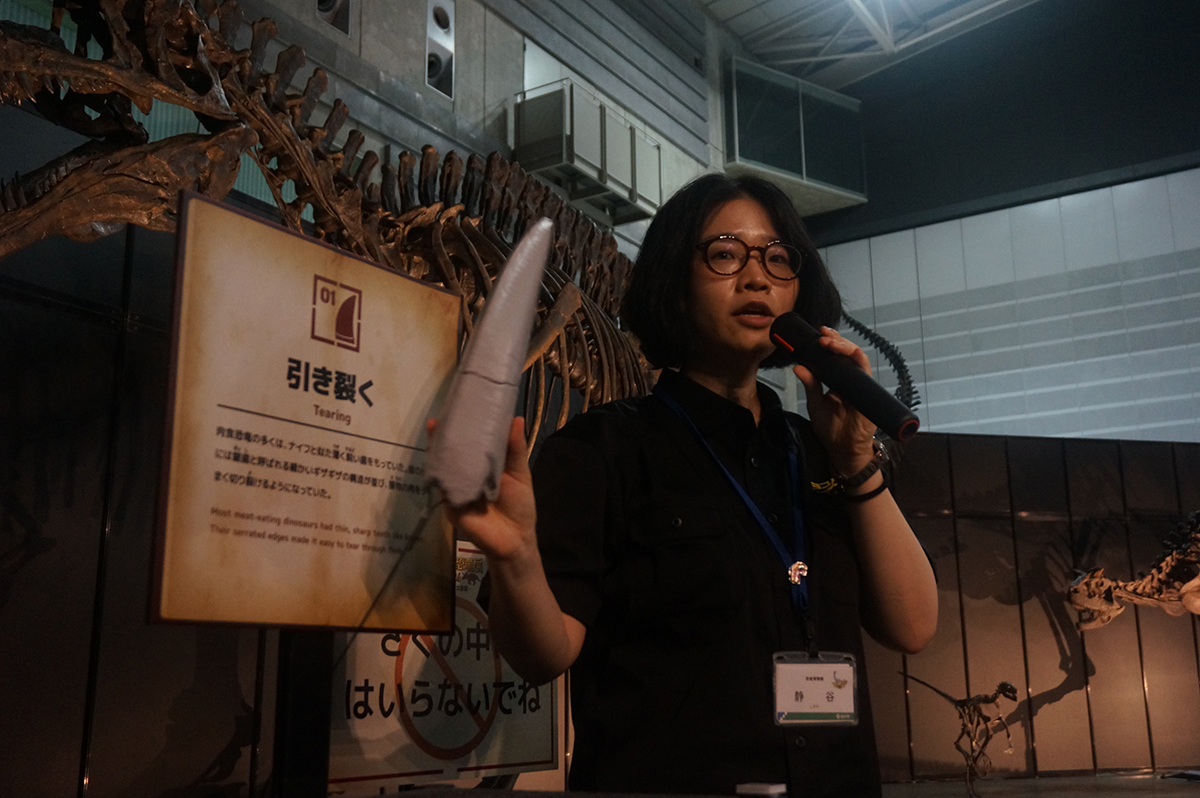 『ヨコハマ恐竜展2026』内覧会レポート!食から解き明かす恐竜のリアルな生態の画像17