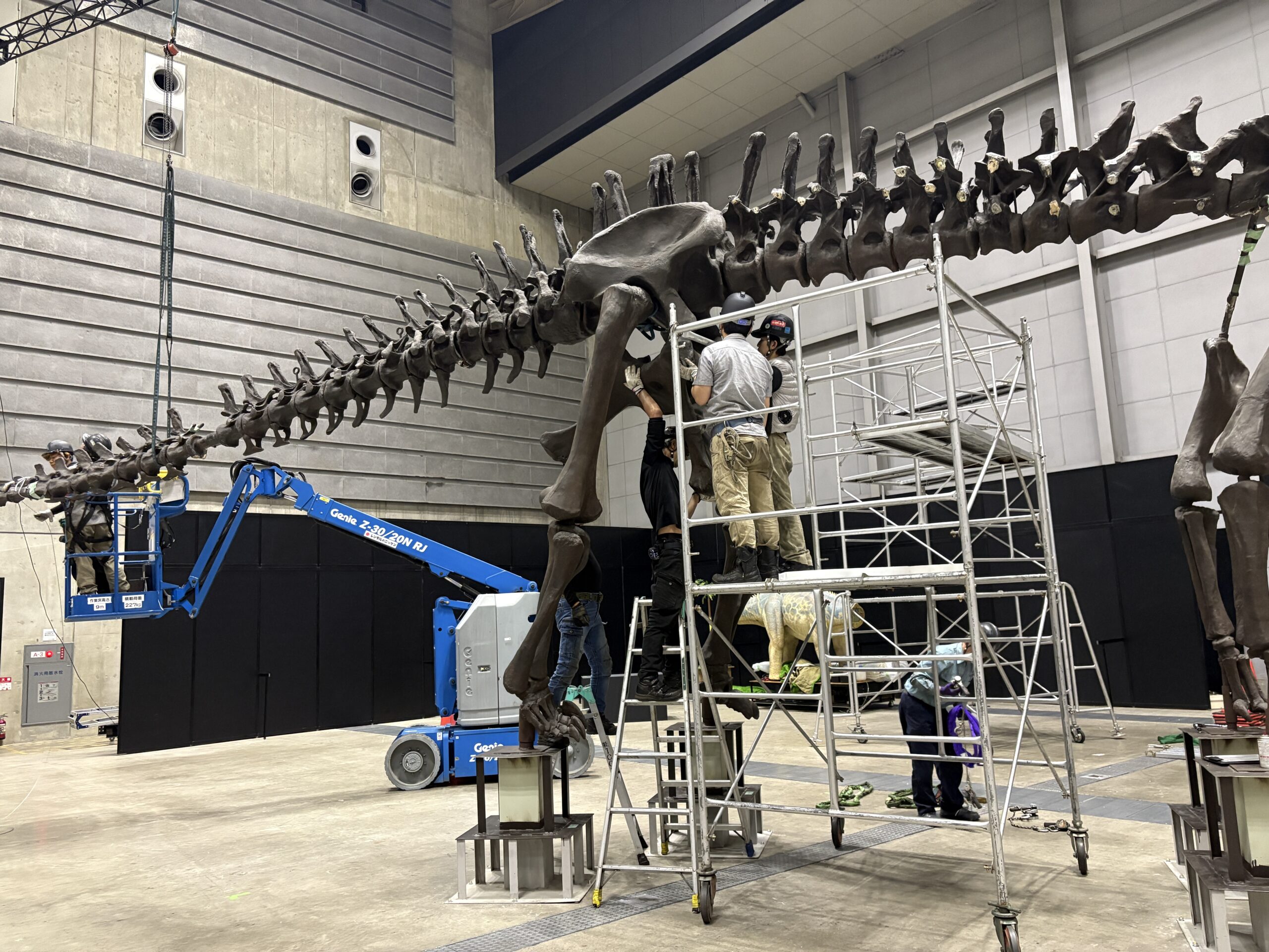 「ヨコハマ恐竜展2026」開幕直前！設営の裏側をのぞく潜入レポートの画像5