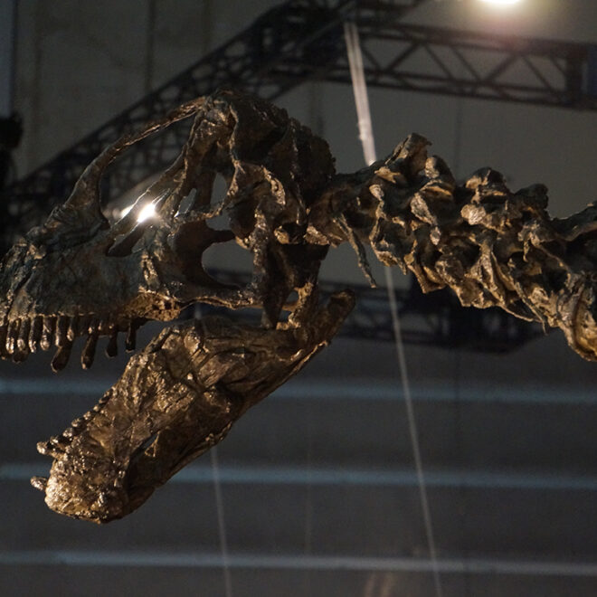 パシフィコ横浜に9年ぶりの熱気が帰ってきた！『ヨコハマ恐竜展2026』が開幕