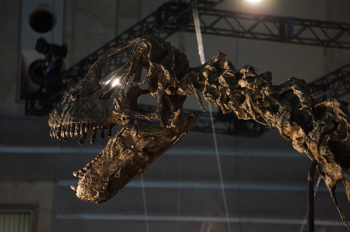 パシフィコ横浜に9年ぶりの熱気が帰ってきた!『ヨコハマ恐竜展2026』が開幕の画像1