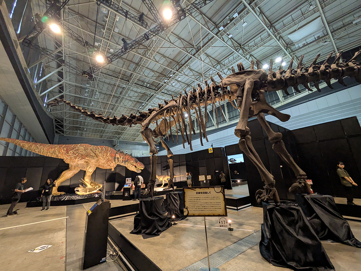 パシフィコ横浜に9年ぶりの熱気が帰ってきた!『ヨコハマ恐竜展2026』が開幕の画像2