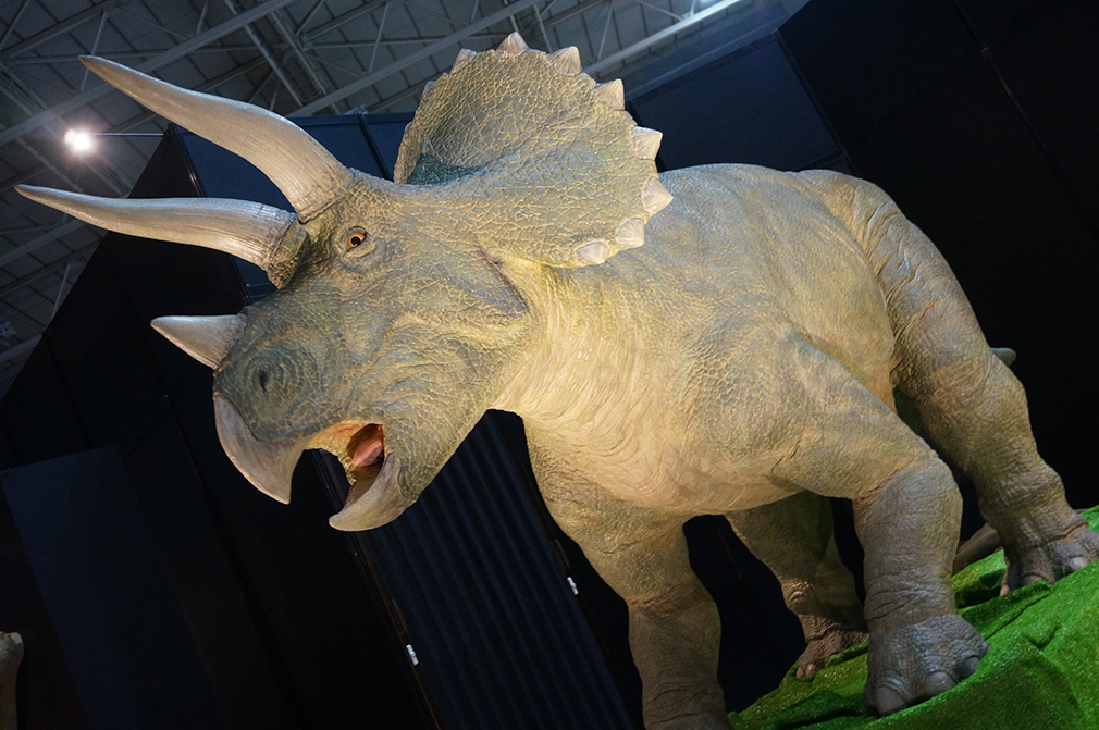 パシフィコ横浜に9年ぶりの熱気が帰ってきた!『ヨコハマ恐竜展2026』が開幕の画像3