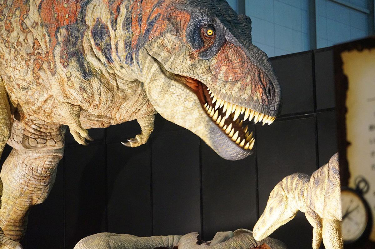 『ヨコハマ恐竜展2026』内覧会レポート!食から解き明かす恐竜のリアルな生態の画像1