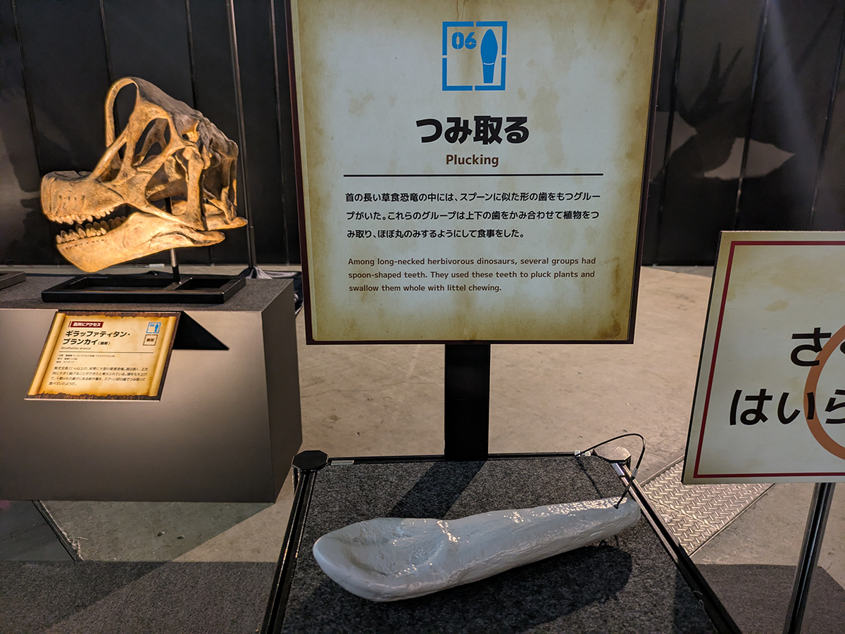 『ヨコハマ恐竜展2026』内覧会レポート!食から解き明かす恐竜のリアルな生態の画像5