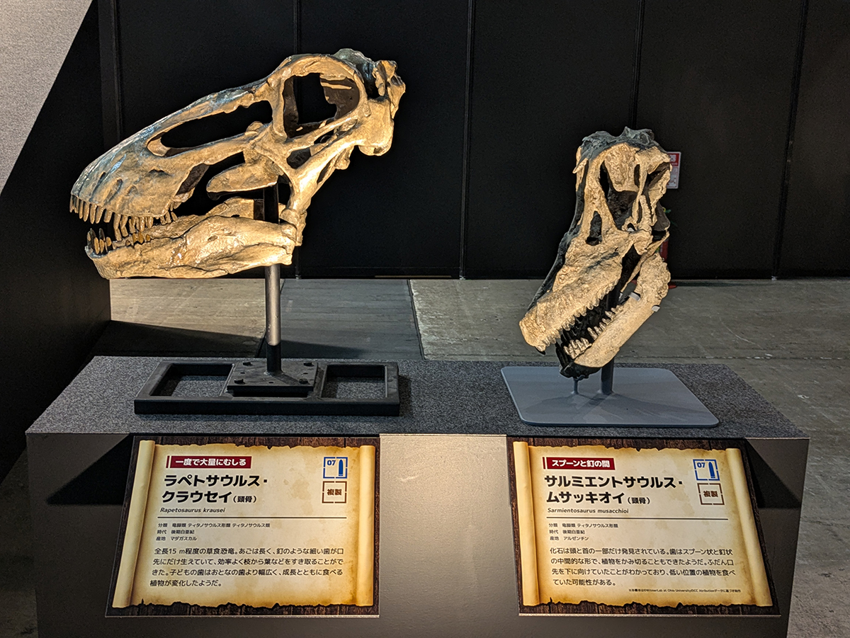 『ヨコハマ恐竜展2026』内覧会レポート!食から解き明かす恐竜のリアルな生態の画像6