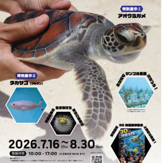 横浜中華街で自由研究しちゃう? 夏限定「中華街の美ら海展2026」で沖縄の海を満喫♪