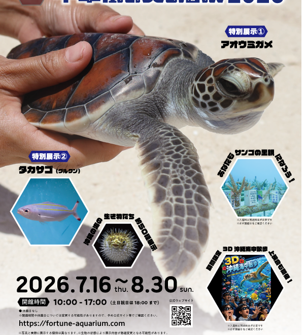 横浜中華街で自由研究しちゃう？ 夏限定「中華街の美ら海展2026」で沖縄の海を満喫♪