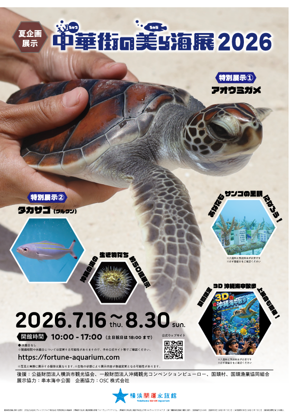 横浜中華街で沖縄の海を満喫♪ 夏限定「中華街の美ら海展2026」が開催｜自由研究応援企画も！の画像8