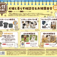 スクリーンショット 2026-08-01 7.40.36_0