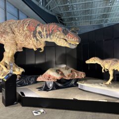 夏休み後半は“ヨコハマ恐竜展2026”へ。オリジナル動画も公開中！