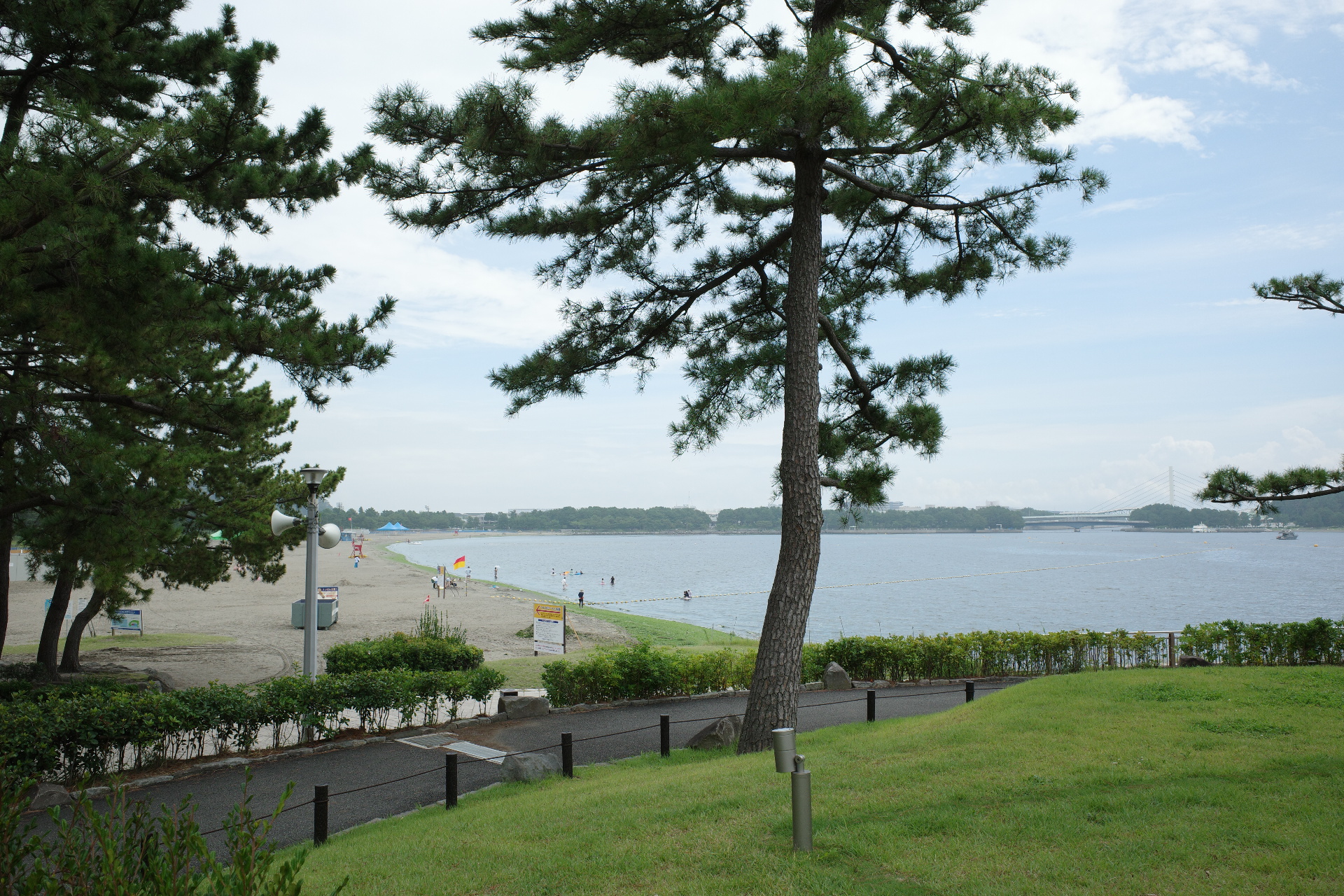 スターバックスコーヒー 横浜海の公園店へ。海辺に佇む心地よいカフェ。の画像4