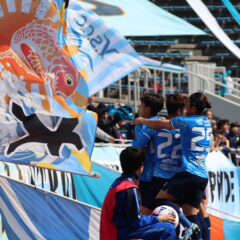 yscc_5