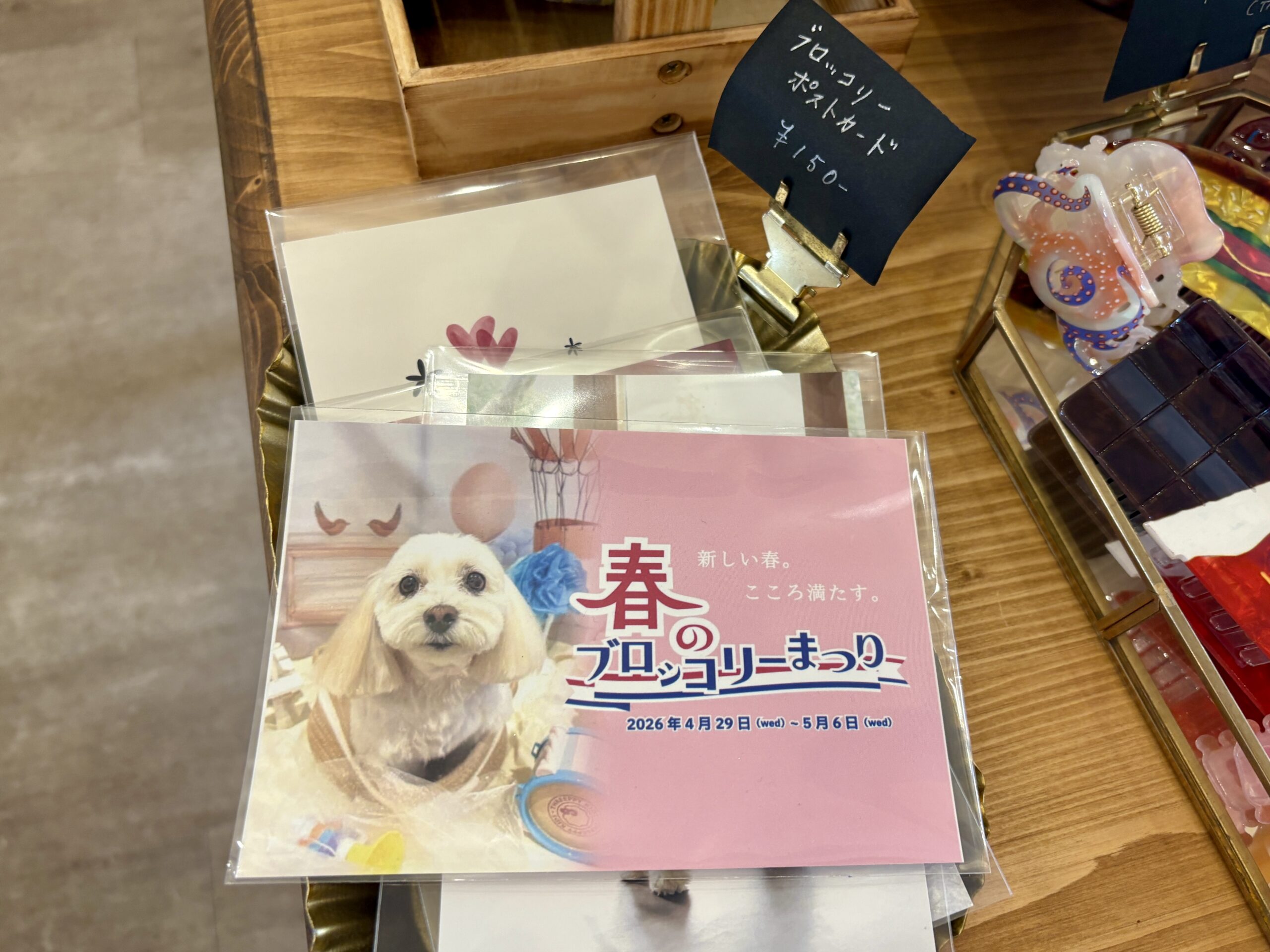 横浜・元町で見つけた、雑貨と珈琲と“雑談”の店「Perch（パーチ）」の画像8