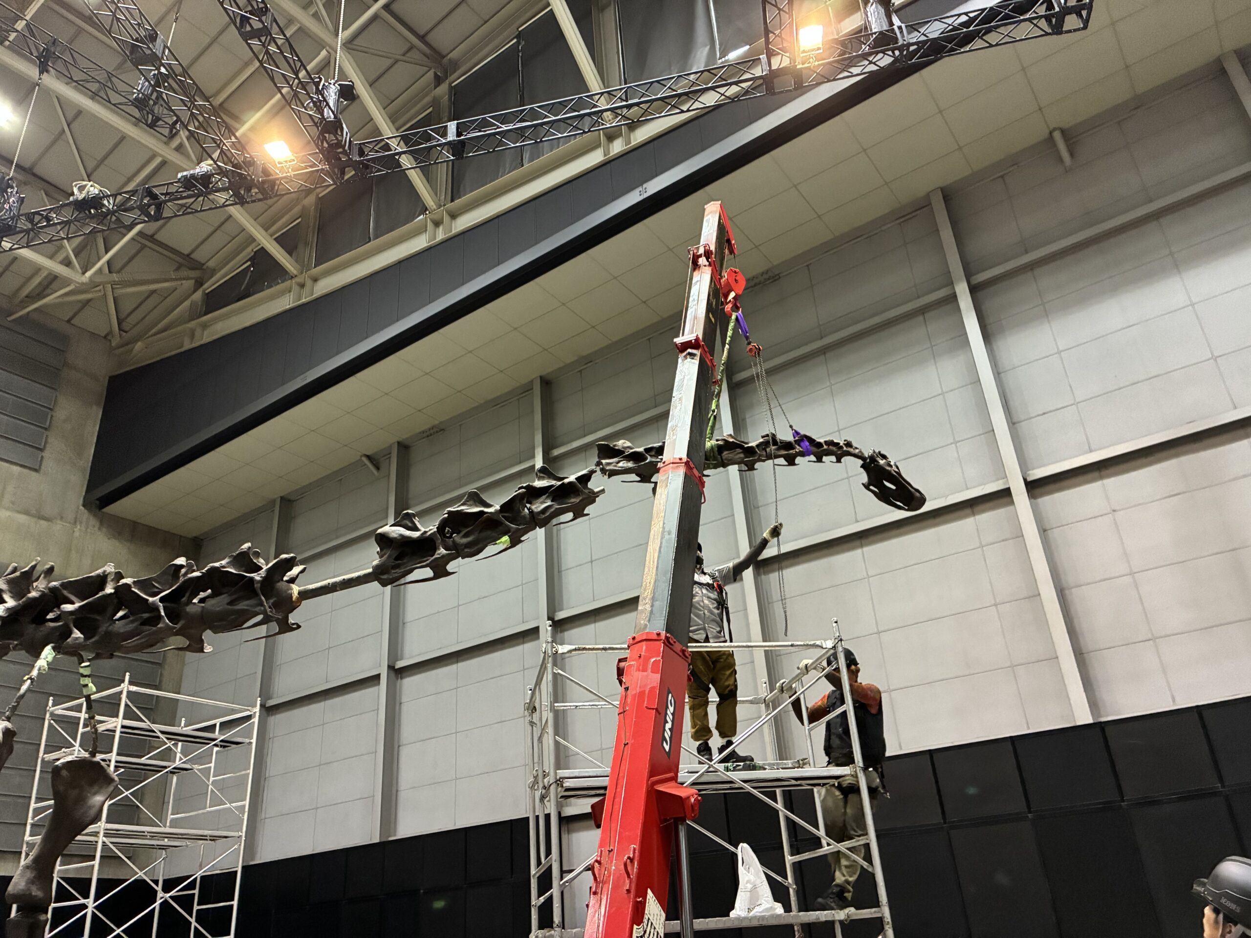 「ヨコハマ恐竜展2026」開幕直前！設営の裏側をのぞく潜入レポートの画像9