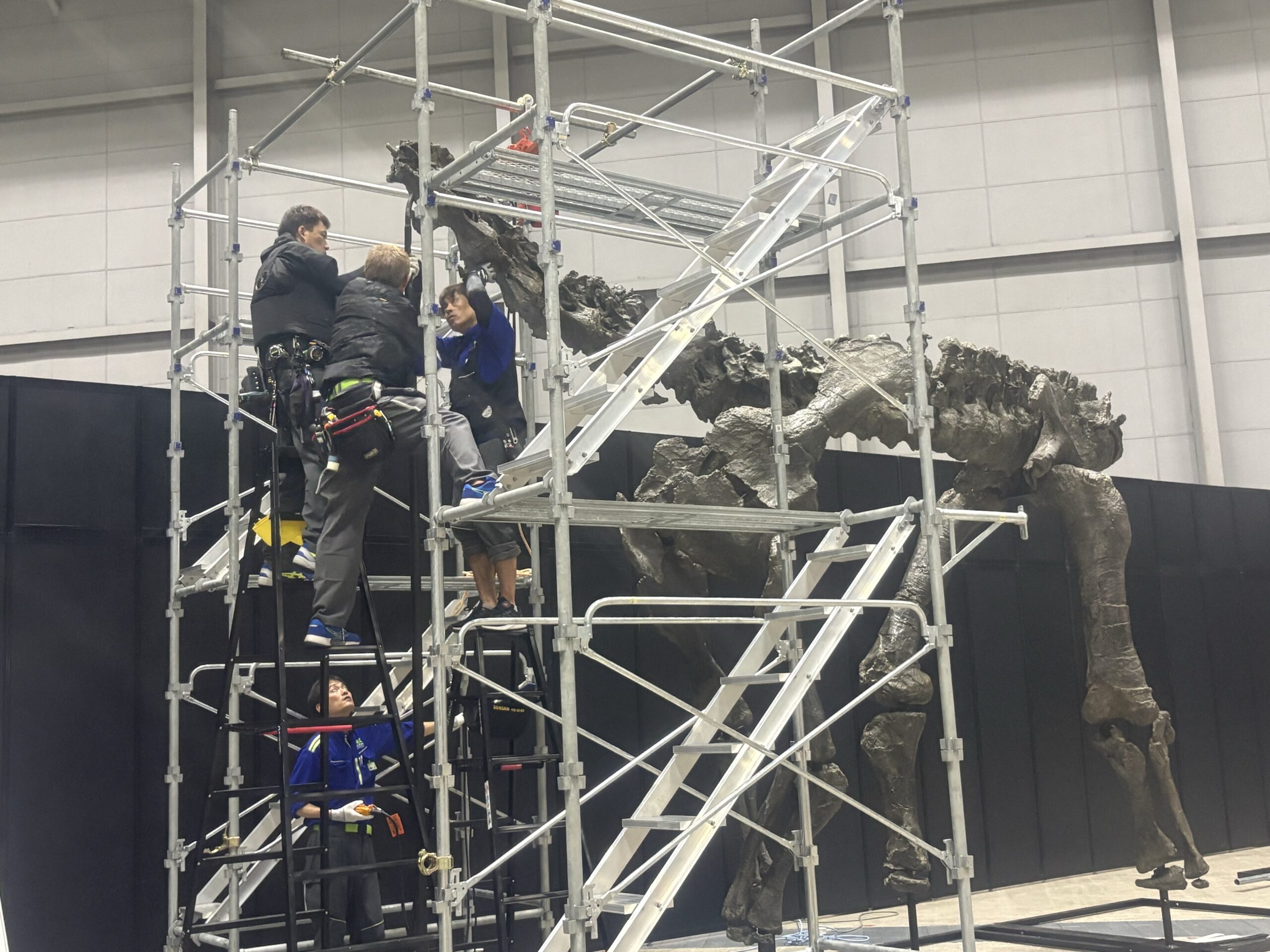 「ヨコハマ恐竜展2026」開幕直前！設営の裏側をのぞく潜入レポートの画像8