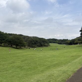 根岸森林公園で親子でのんびり。季節とやさしい設備を楽しむ休日