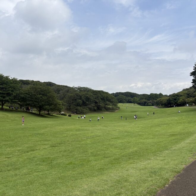 根岸森林公園で親子でのんびり。季節とやさしい設備を楽しむ休日