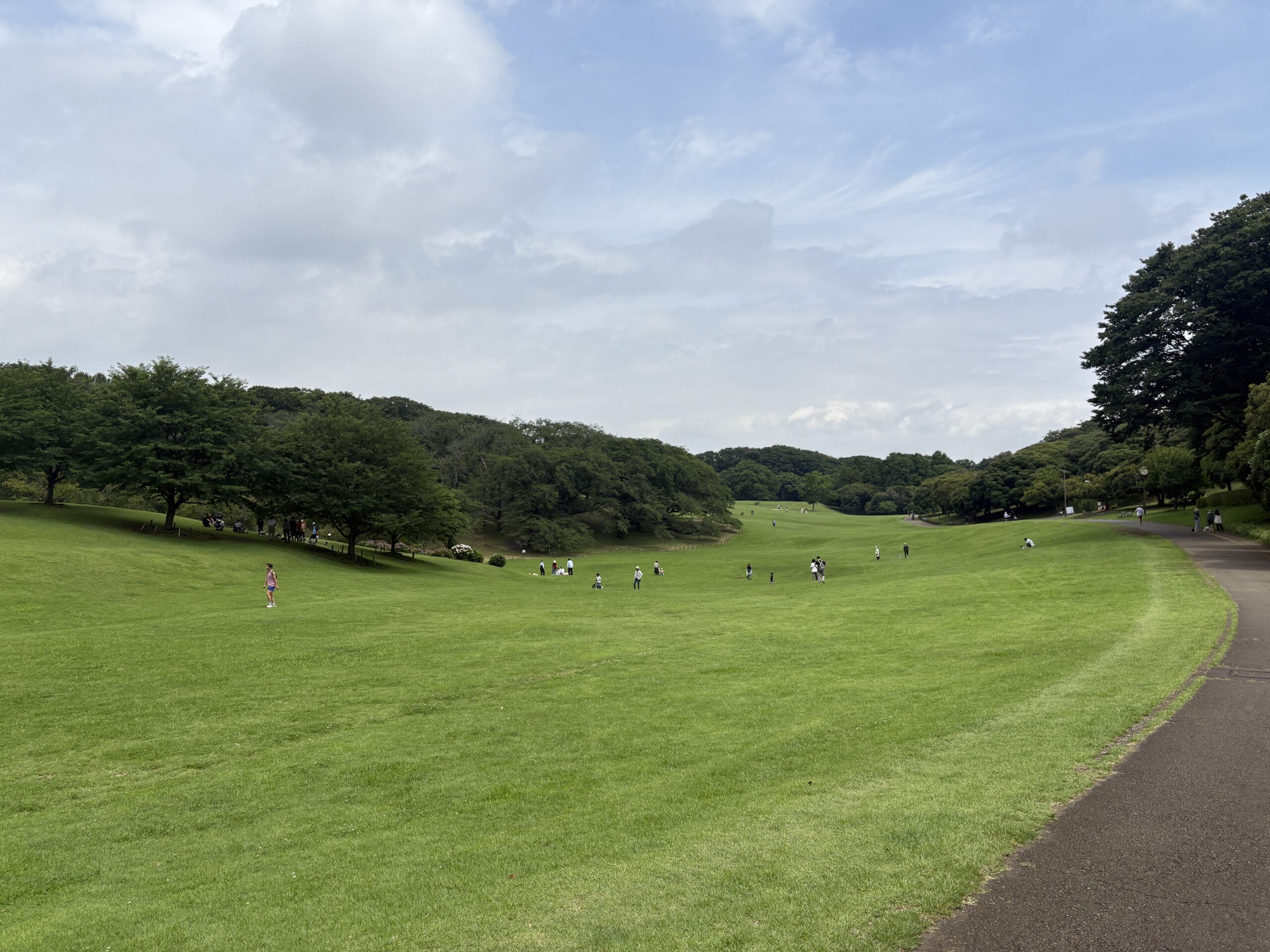【作成中】根岸森林公園で親子でゆっくり。季節とやさしい設備を楽しむ休日の画像1