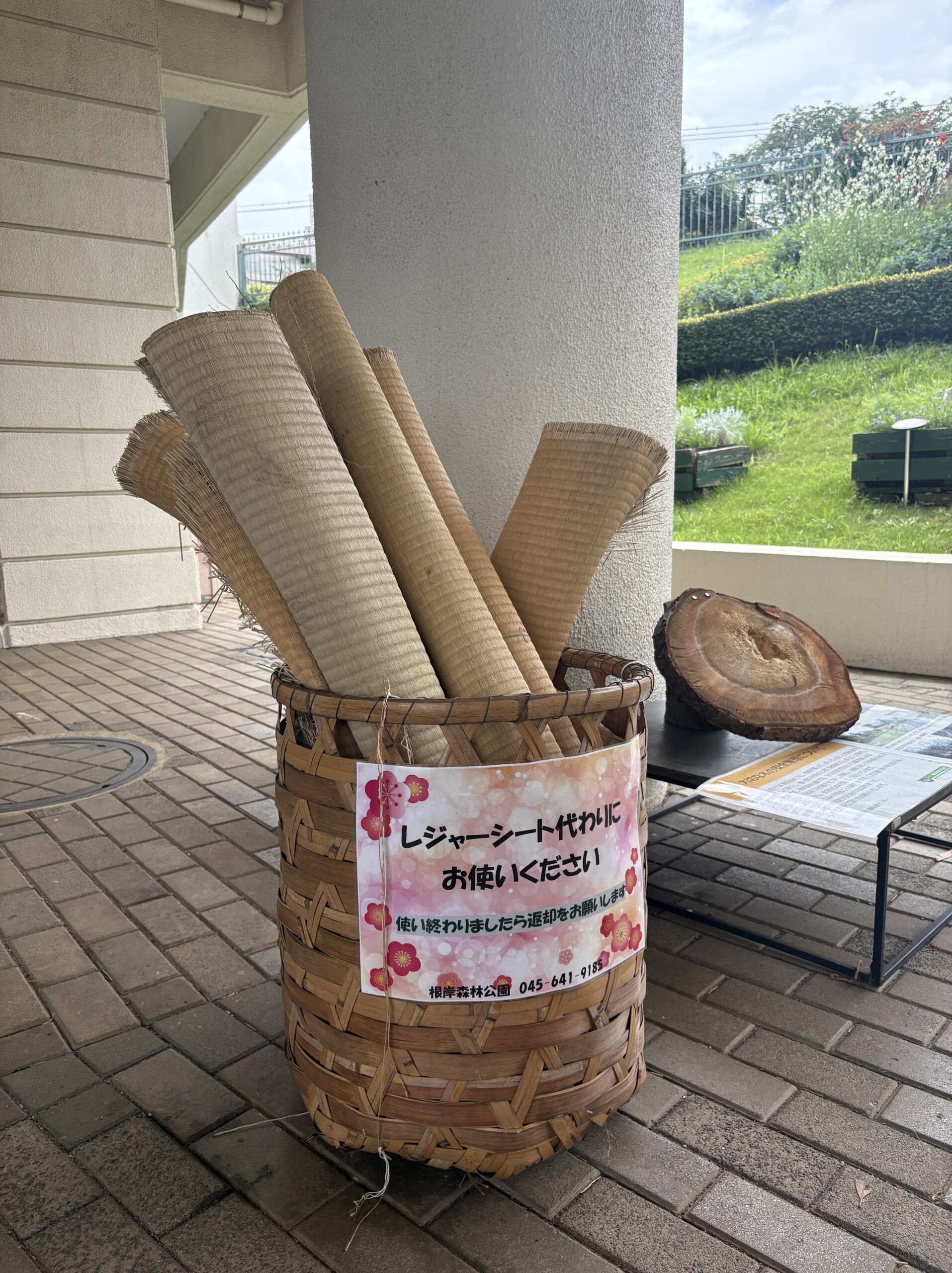 【作成中】根岸森林公園で親子でゆっくり。季節とやさしい設備を楽しむ休日の画像2