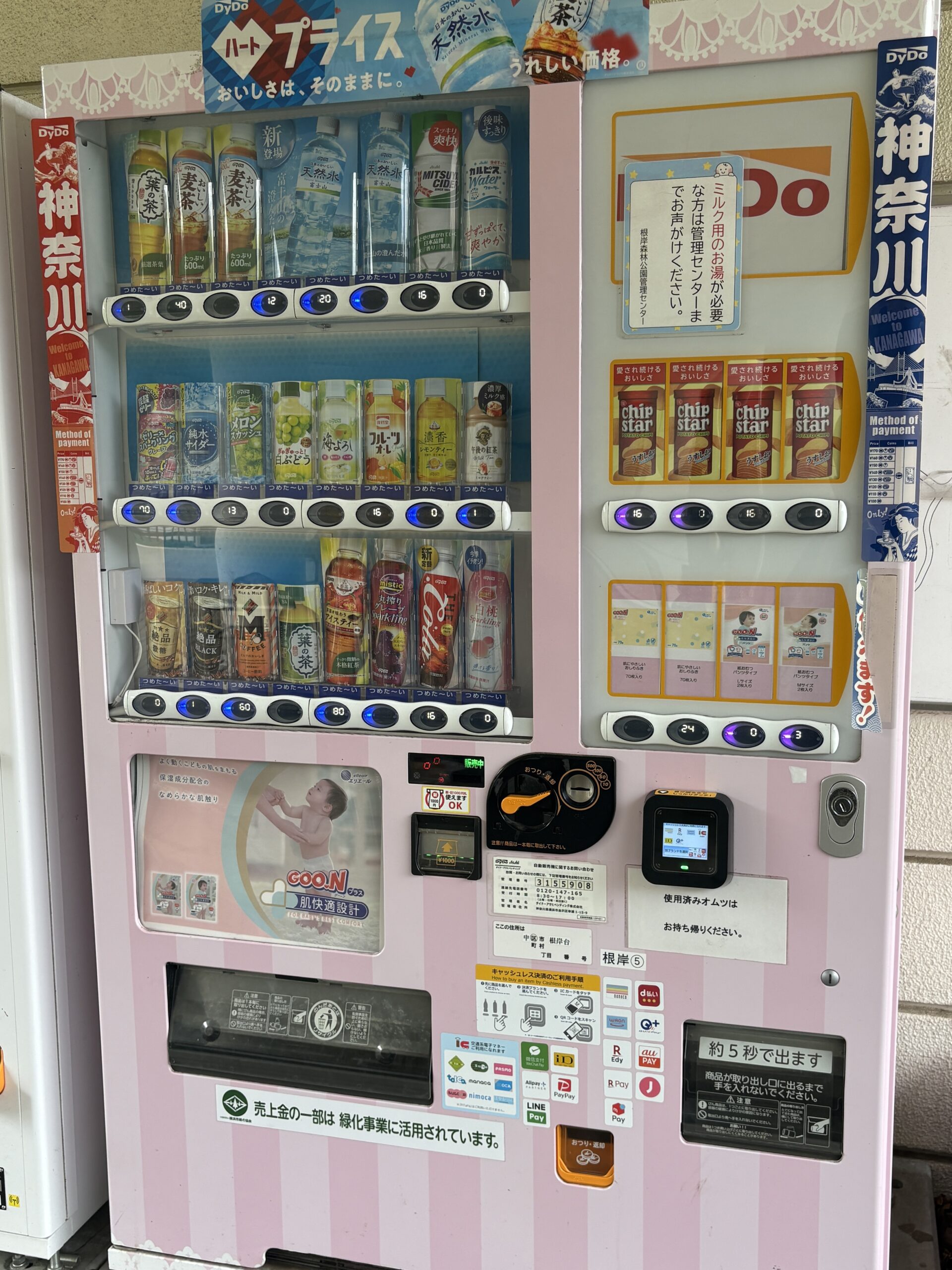 【作成中】根岸森林公園で親子でゆっくり。季節とやさしい設備を楽しむ休日の画像3
