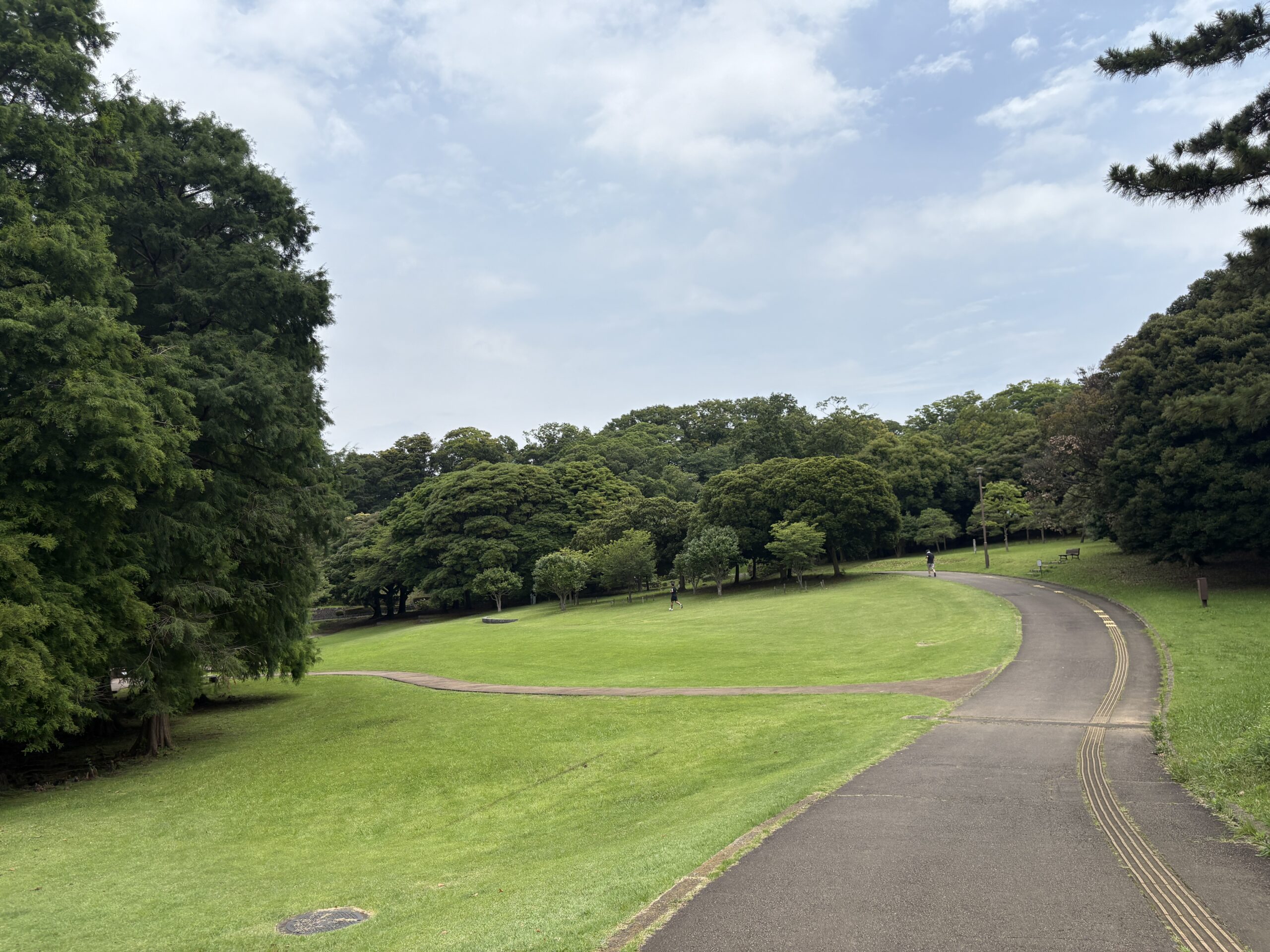 【作成中】根岸森林公園で親子でゆっくり。季節とやさしい設備を楽しむ休日の画像4