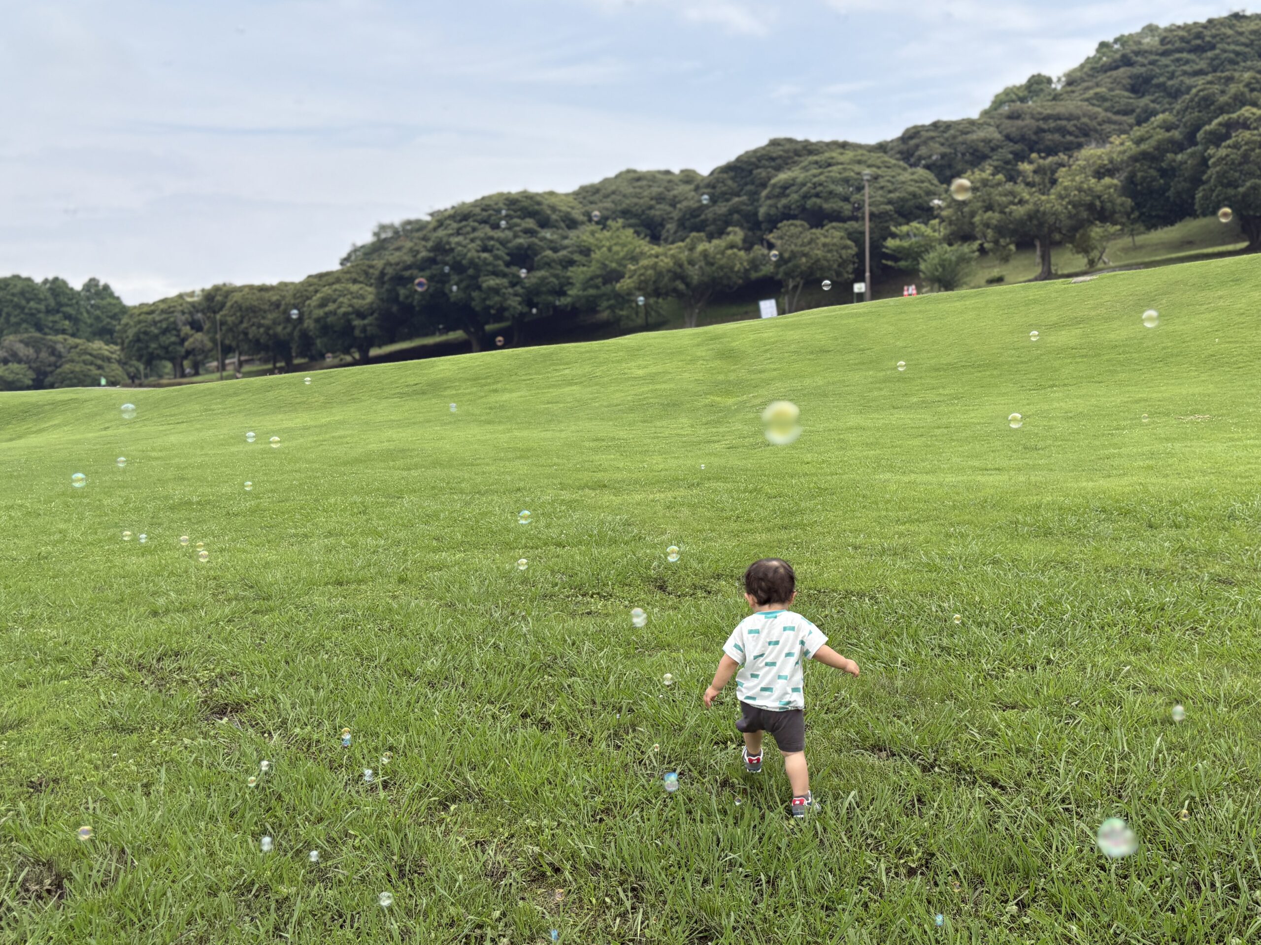 【作成中】根岸森林公園で親子でゆっくり。季節とやさしい設備を楽しむ休日の画像7