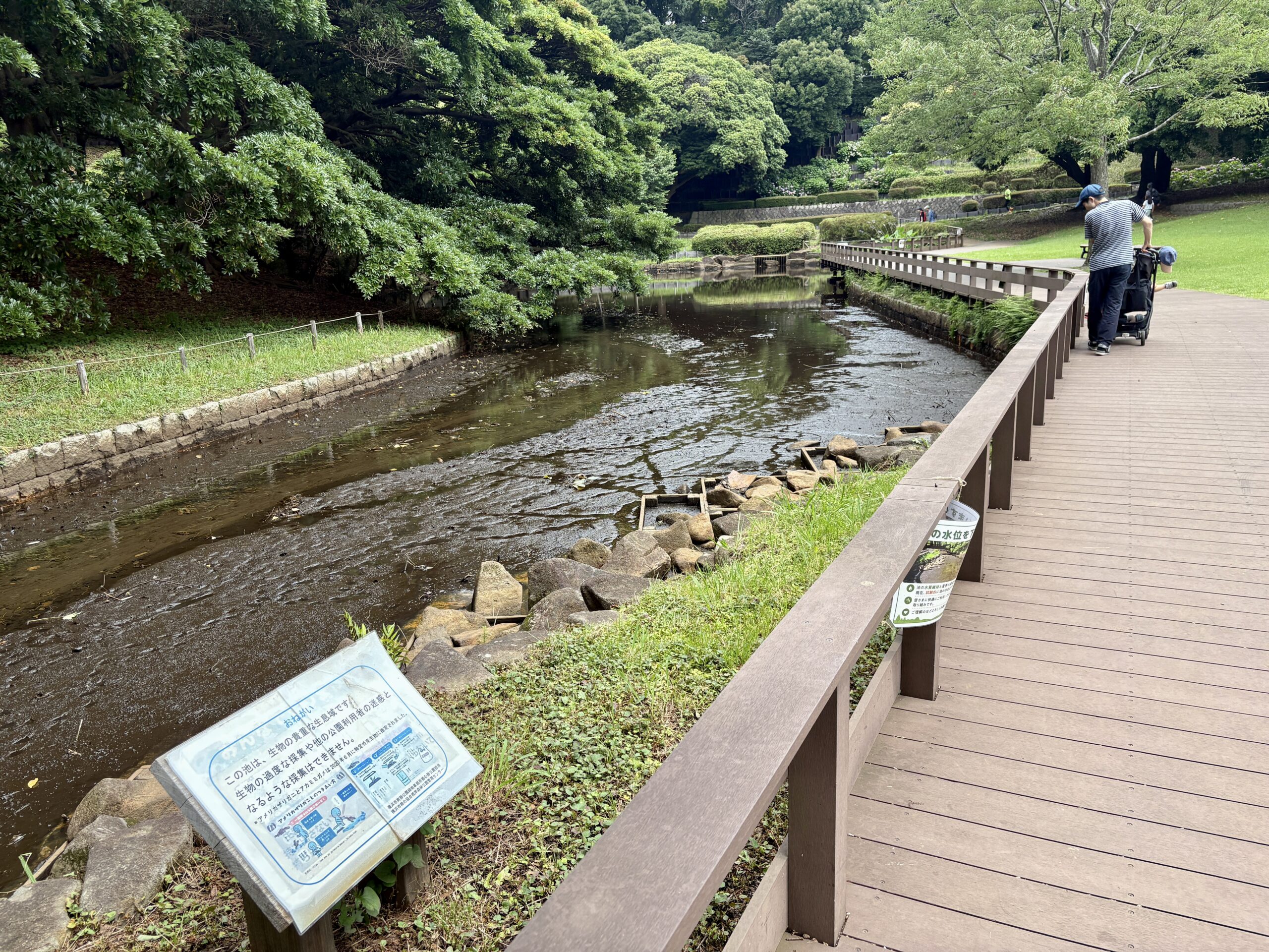 【作成中】根岸森林公園で親子でゆっくり。季節とやさしい設備を楽しむ休日の画像9