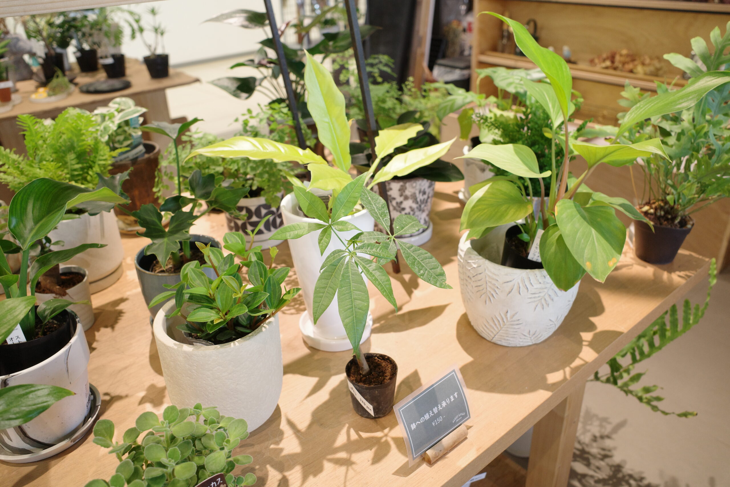 親子で安心してはじめる砂場デビュー。LATEST GREENで出会う、あたたかいつながり。の画像14