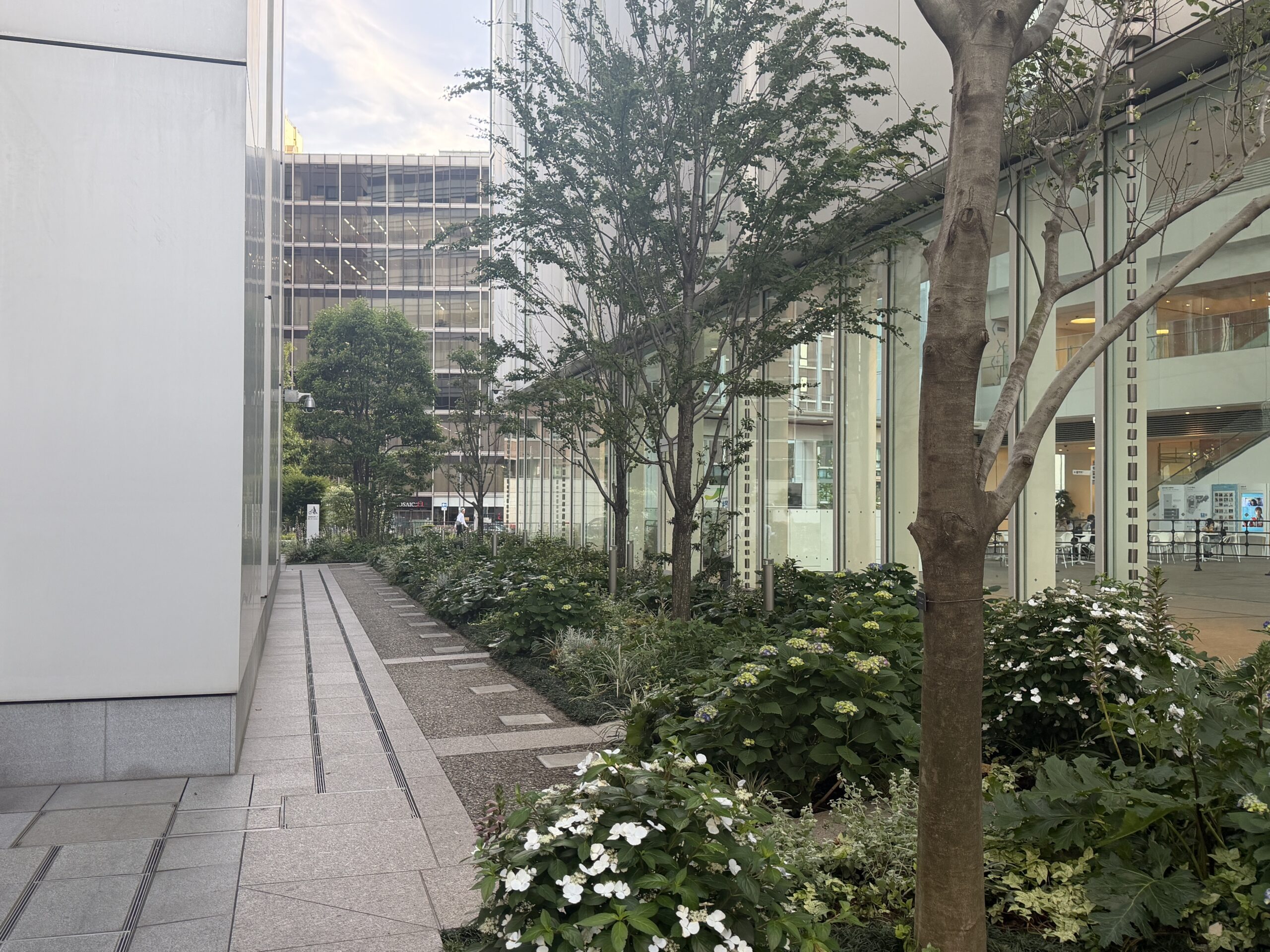 【作成中】みなとみらいとバラを楽しむ――横浜市庁舎「四季の庭」の画像8
