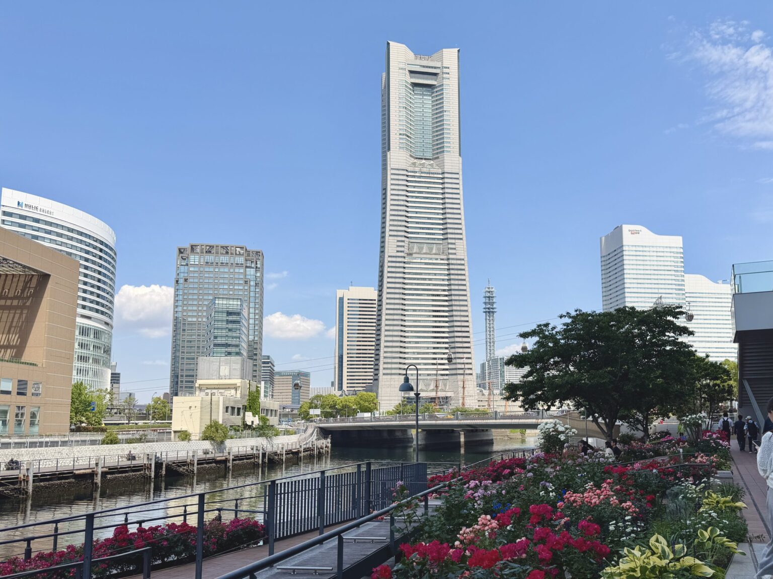 横浜で“ちょっと優雅なバラ時間”。市庁舎ガーデンが想像以上に満たされる