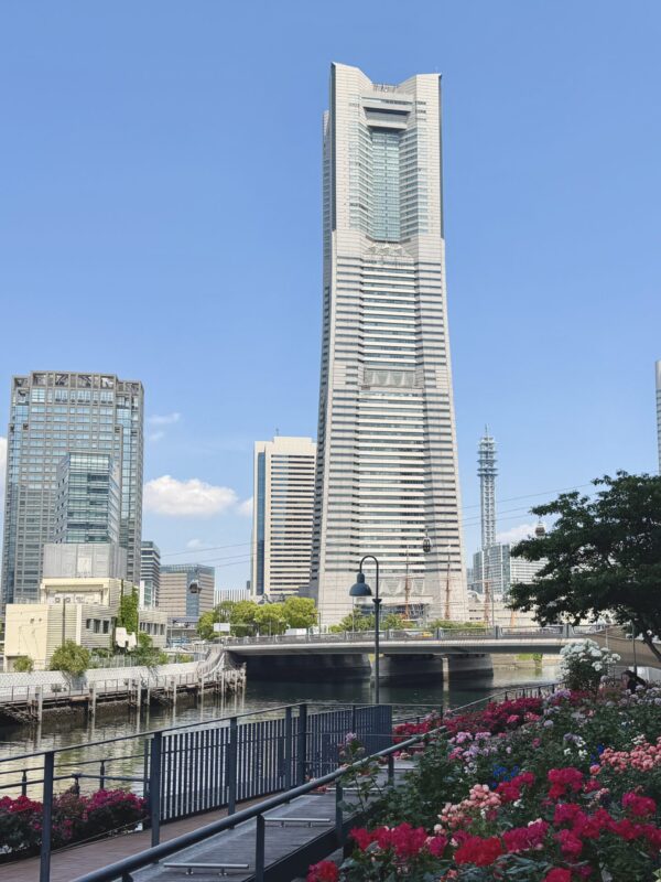 横浜で“ちょっと優雅なバラ時間”。市庁舎ガーデンが想像以上に満たされる