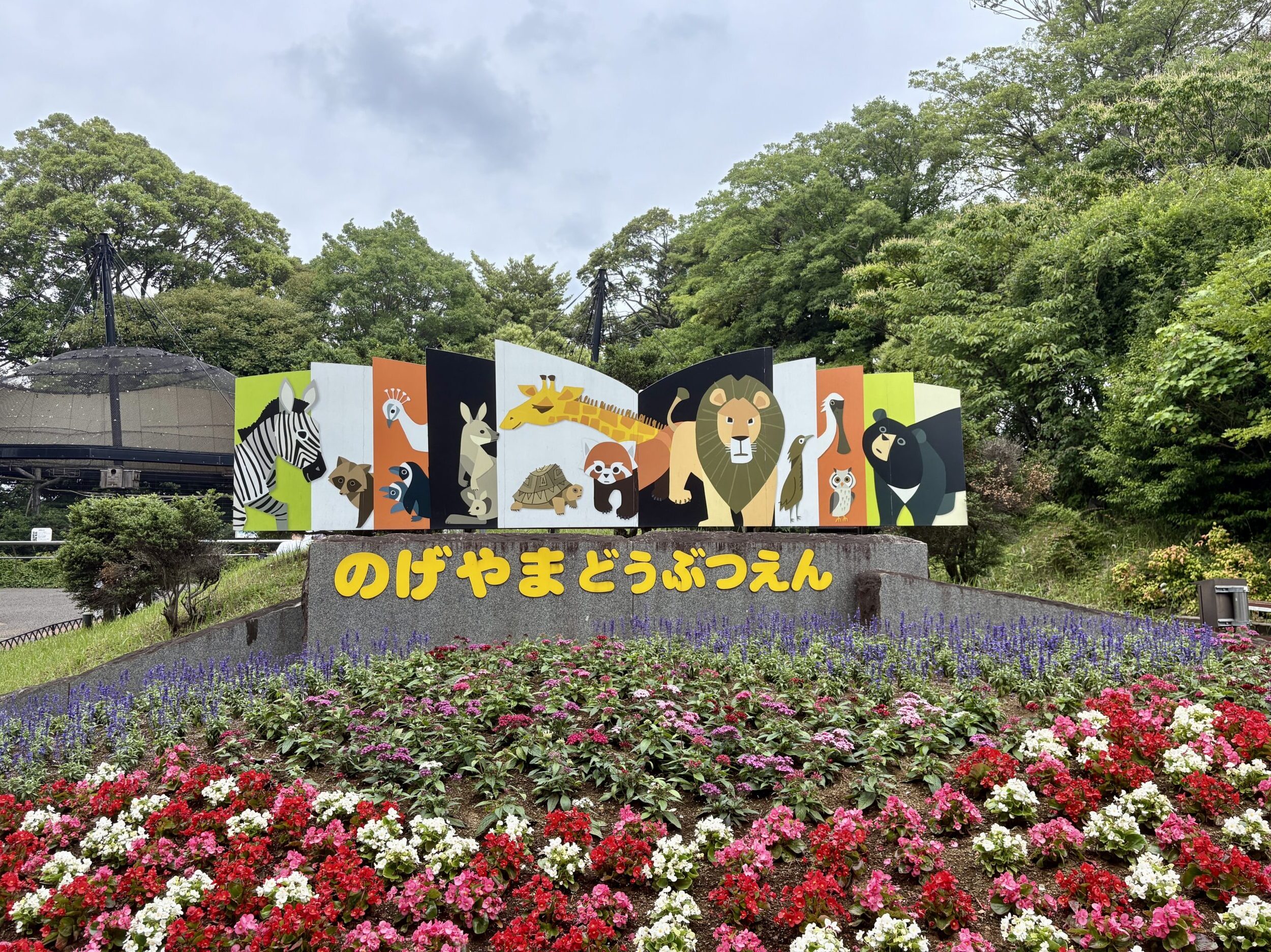 休園前の今こそ、親子で“無料の”野毛山動物園への画像8