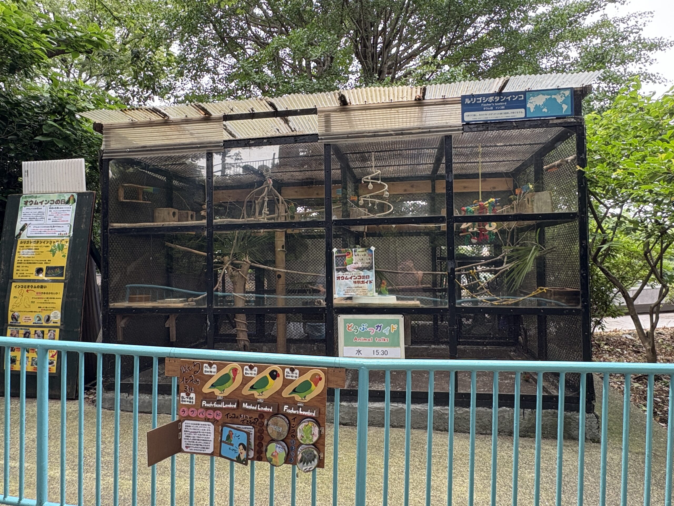 休園前の今こそ、親子で“無料の”野毛山動物園への画像18