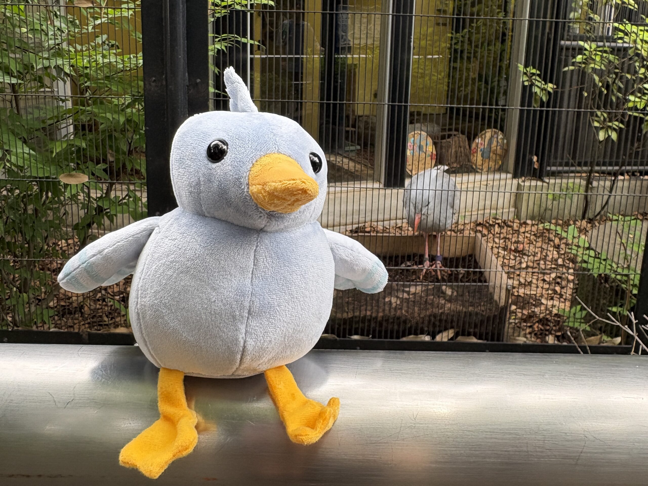 休園前の今こそ、親子で“無料の”野毛山動物園への画像20