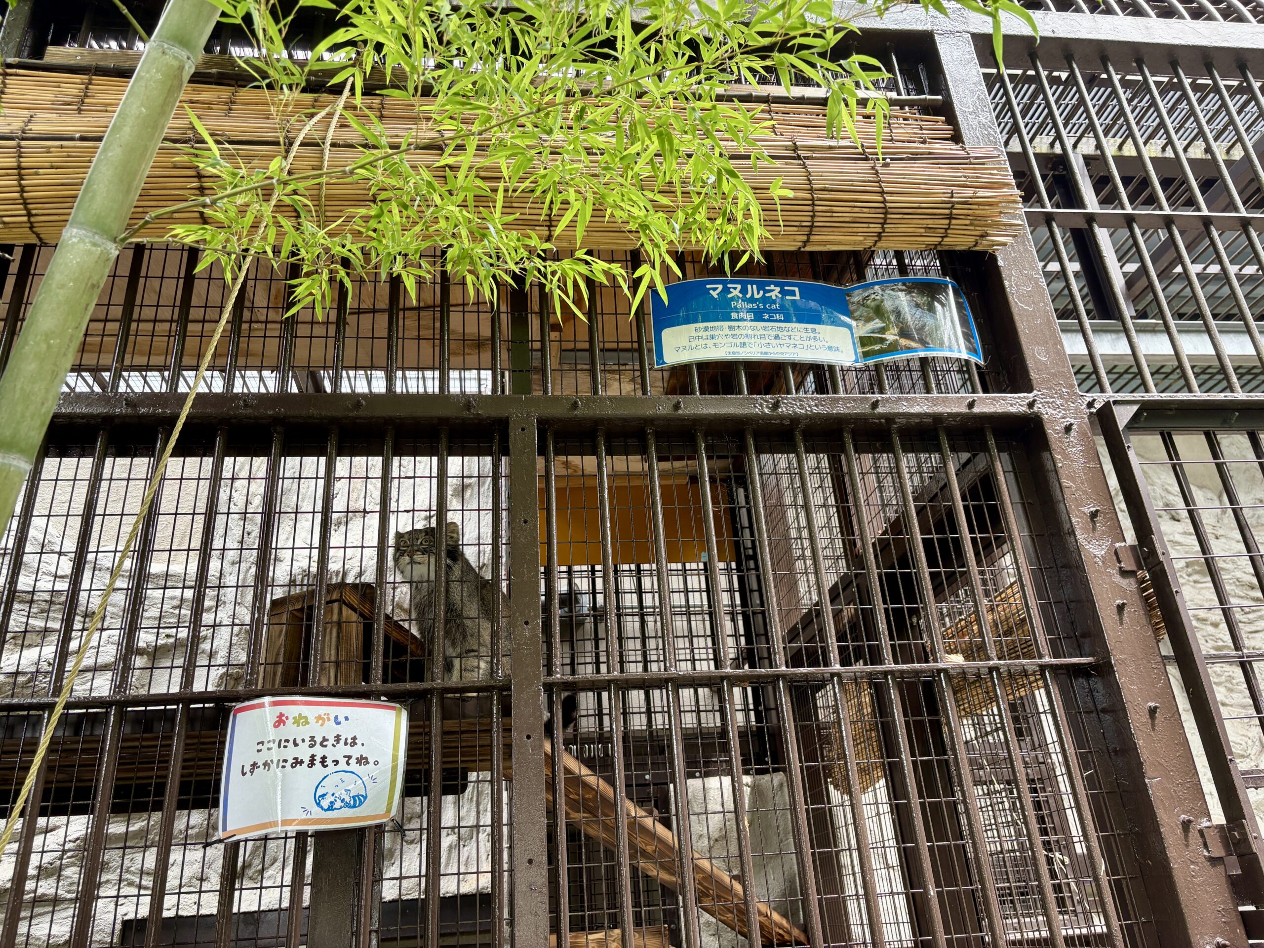 休園前の今こそ、親子で“無料の”野毛山動物園への画像21