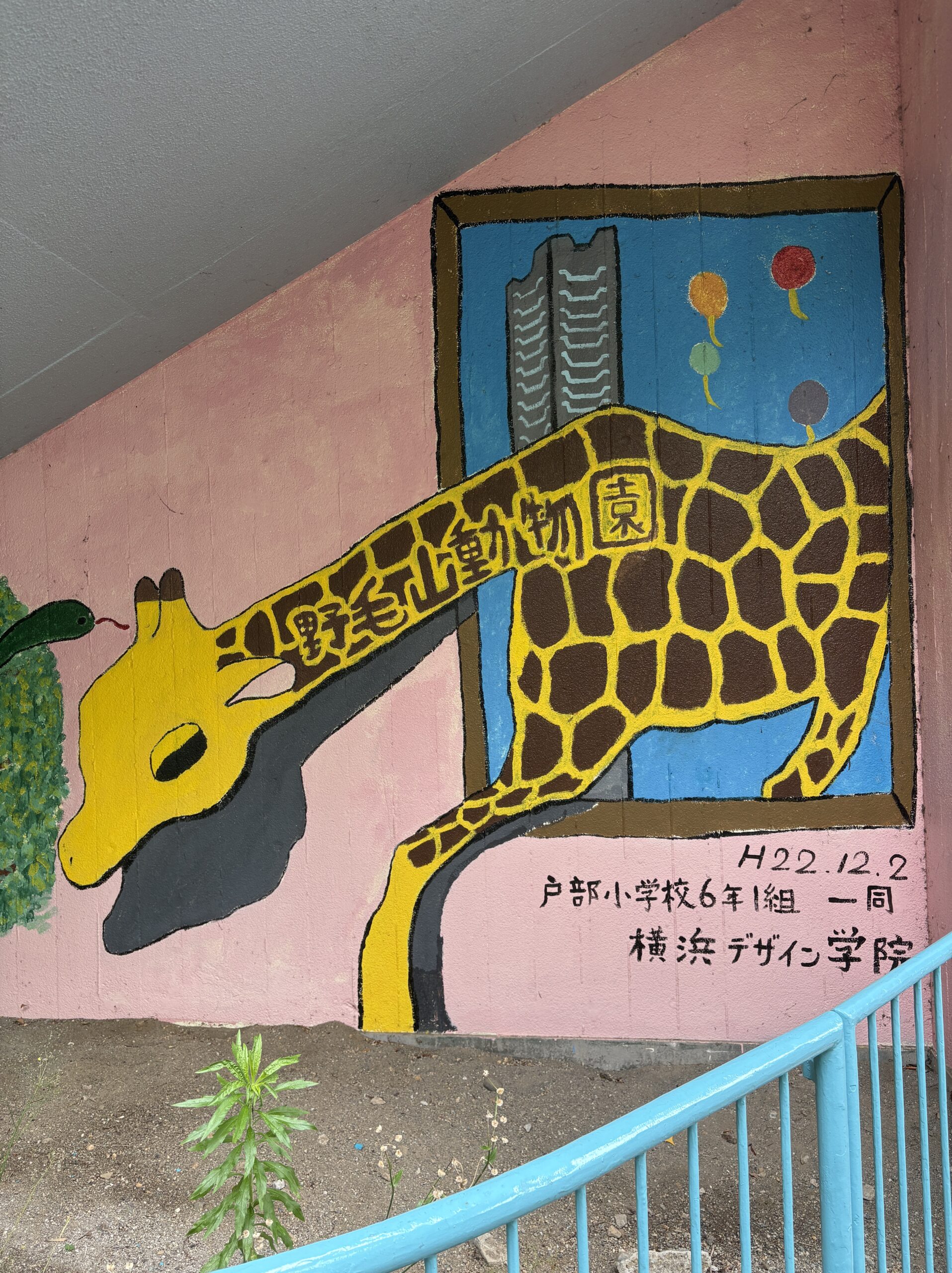休園前の今こそ、親子で“無料の”野毛山動物園への画像22