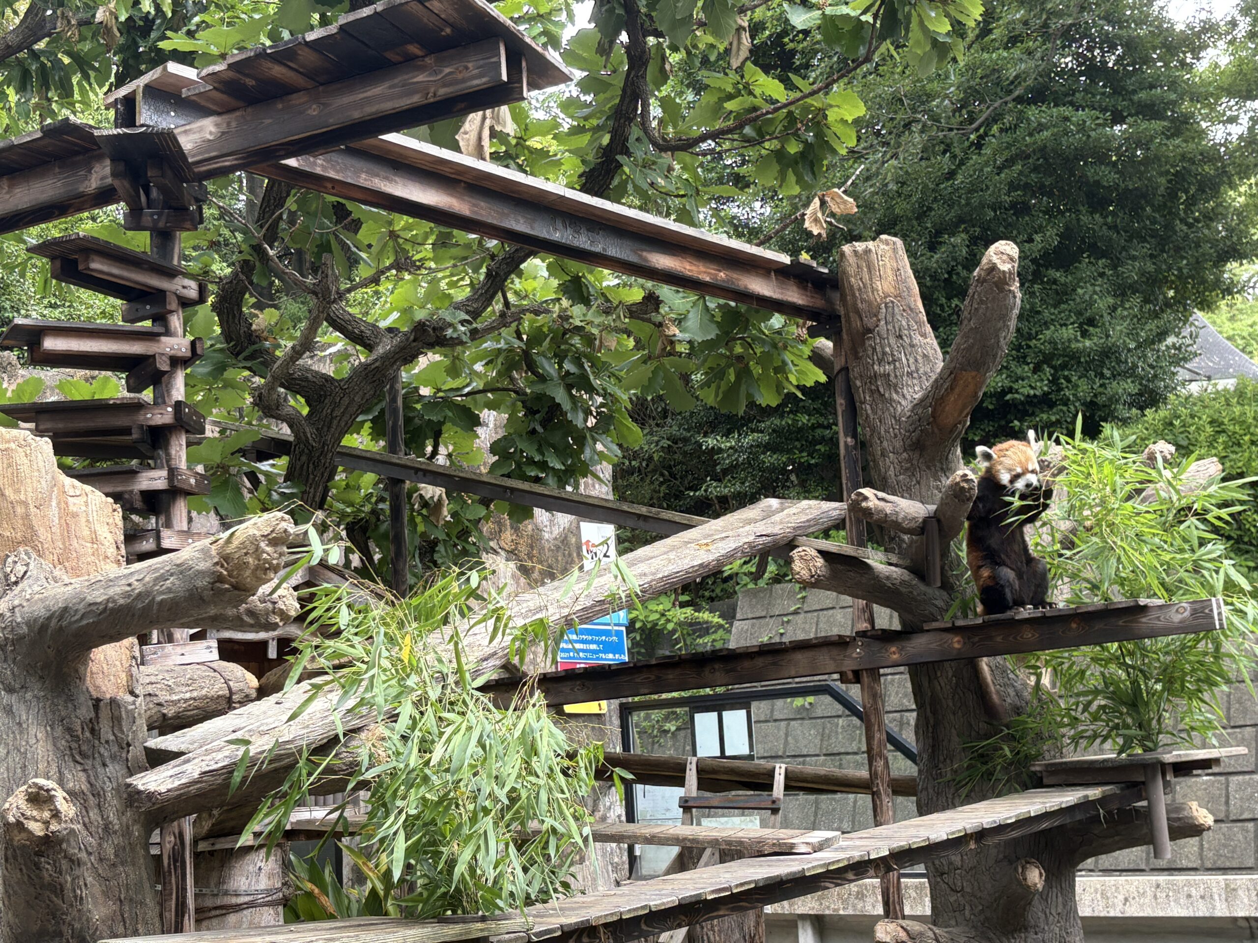 休園前の今こそ、親子で“無料の”野毛山動物園への画像23