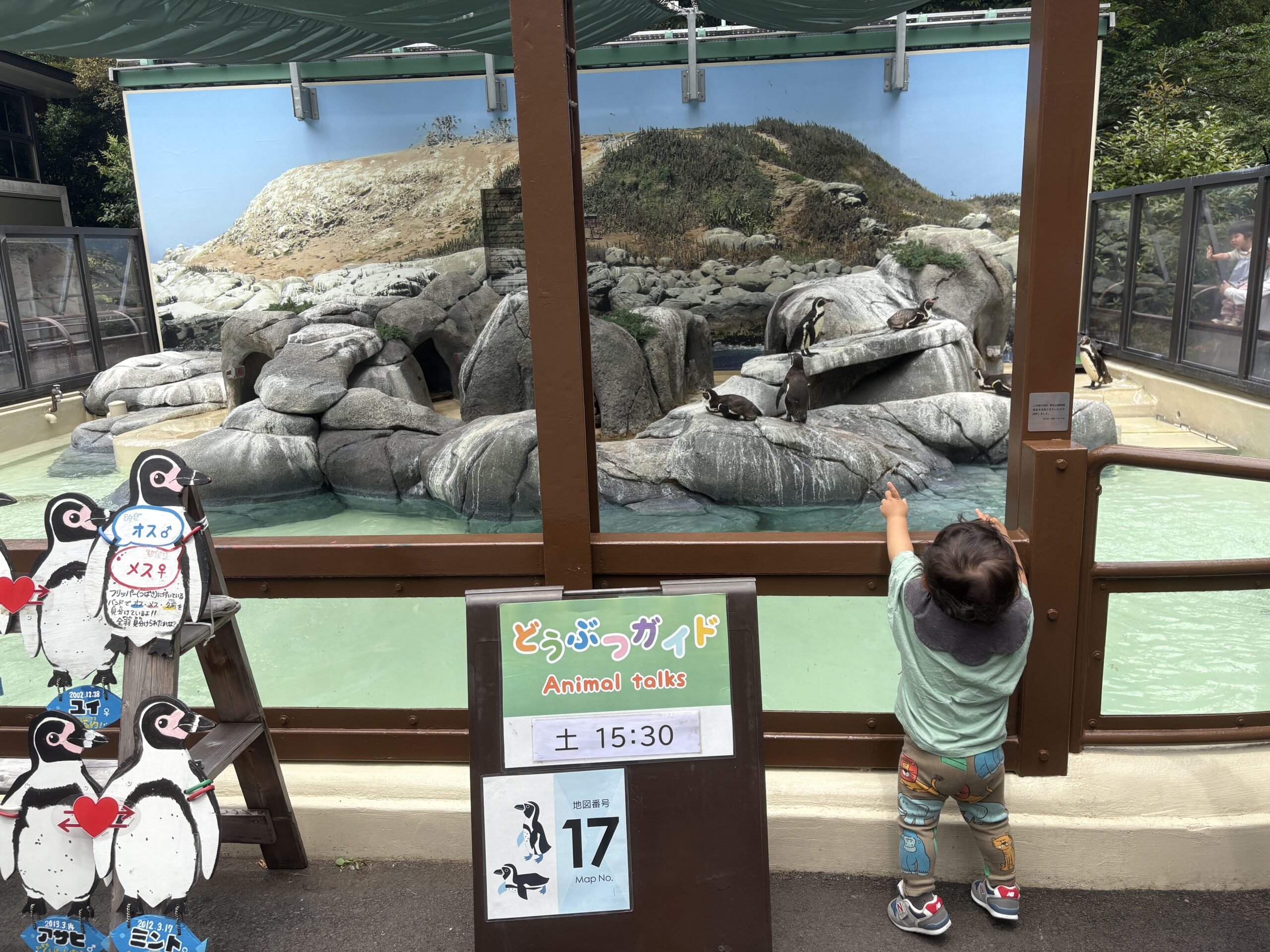 休園前の今こそ、親子で“無料の”野毛山動物園への画像4