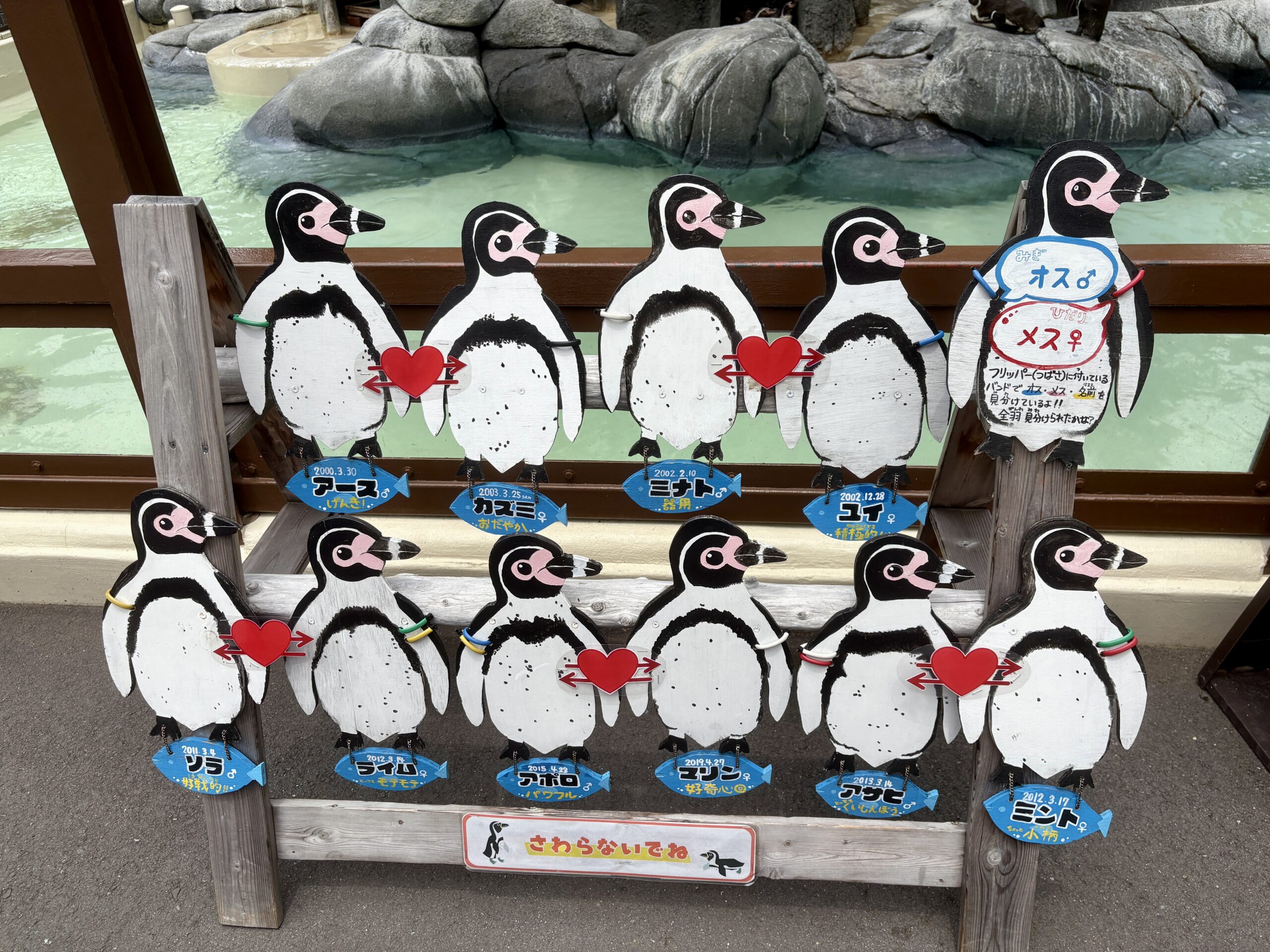 休園前の今こそ、親子で“無料の”野毛山動物園への画像25